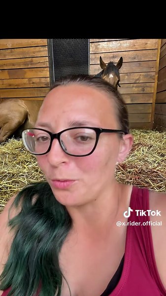 Complete Guide to Foaling Season 2026