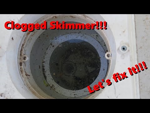 Unclogging a Pool Skimmer with Drain King