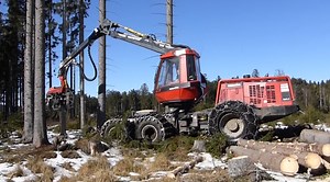 Logging Innovation Boosting Productivity in the Forest