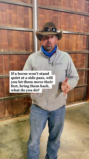 Effective Horse Training Tips for Side Passing and Body Control