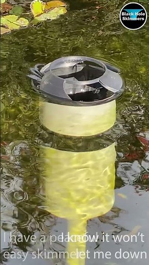 Pond Skimmer | Best Pond Skimmer | Reliable Pond Skimmer