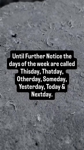 #funnyquotes #funnyvideos #funnytiktokvideos #fyp #viral