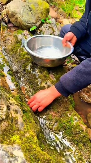 Finding Beautiful Wild Goldfish Hidden Under The Rocks! 🐠⛰️ #fishing #fish #shorts