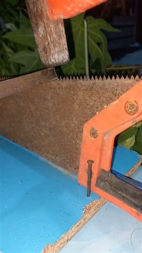 I Sharpened My Saw and Found New Love for DIY