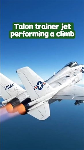 🇺🇸 T-38 Talon trainer jet performing a climb with afterburners over ocean #shortsfeed #usafe