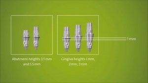 Straumann® Variobase® Additional Gingiva Heights for Bone Level. The Bone Level options come in gingiva heights of 1, 2 and 3 mm. To satisfy more demanding esthetic needs. #Straumann #Variobase https://www.straumann.com/sg/en/dental-professionals/products-and-solutions/implant-borne-prosthetics/products/variobase.html | Straumann