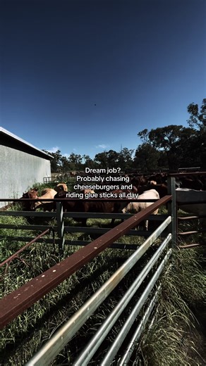 #fypppppppp #viral #blowupthisup | Dream Jobs