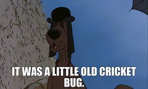It was a little old cricket bug.