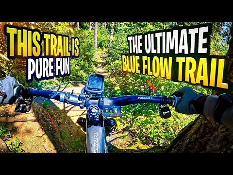 What Better trail to head back to the parking Lot