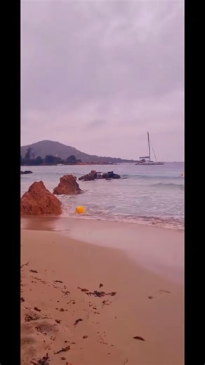 4.9K reactions · 622 shares | JE POSE ÇA LÀ ⚘️  Ce soir ce...