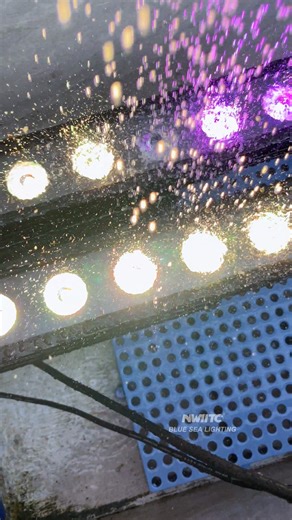 2K views · 19 reactions | Waterproof testing of our 14x30w rgbw 4in1...