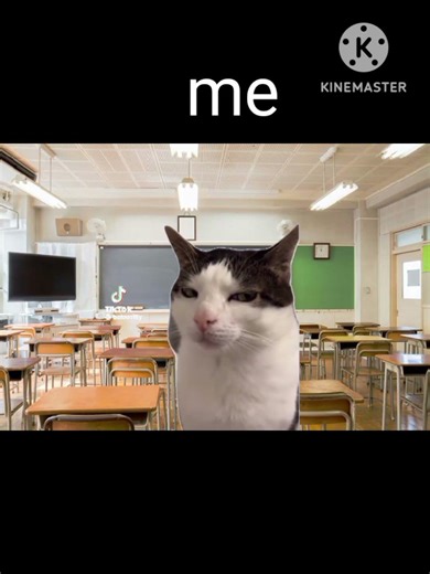 don't copy #gacha #kinemaster #edit #cat