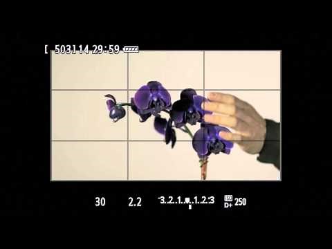 Canon EOS 6D Basic Video Operation