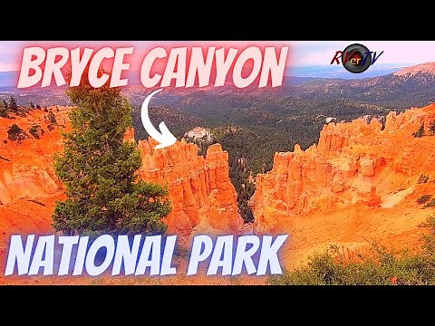 Bryce Canyon National Park - Rainbow Point - Bryce Utah