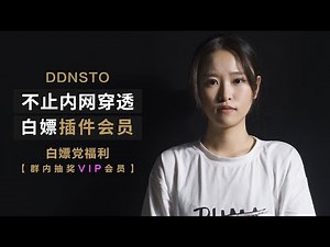 2022最受欢迎|DDNSto|最强内网穿透|访问家中NAS和其它设备！小宝大神DDNSto