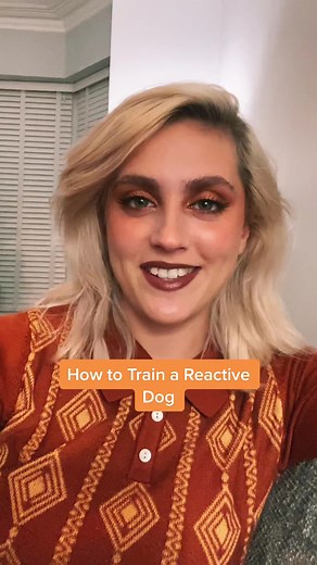 Clicker Training for Reactivity in German Shepherds