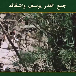 291K views · 8.6K reactions | جاء إخوة النبي يوسف إلى مصر لجلب القمح #سلسلة #مسلسلتلفزيونيتركي #المتوحش | Stories of Prophets - قصص الأنبياء | Facebook