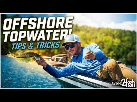 Offshore Topwater Bass Fishing | Tips & Tricks