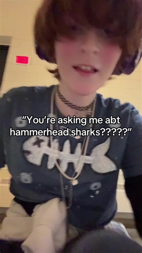 I love hammerhead sharks#hammerheadsharks #sharks #gybap #fyp #fypシ