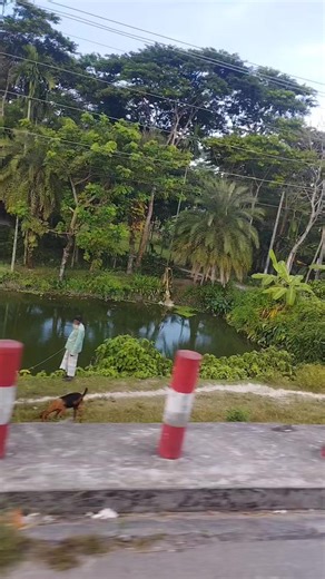 London Bus vlog ..🚌 #vlog #fypageシ #videoviralシ. | Boro Apu