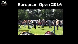 Livestream European Open 2016 - Get your ticket! http://de.working-dog.eu/livestream/overview | Working-dog