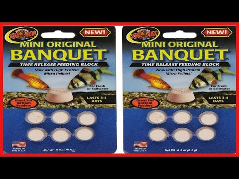 Zoo Med Laboratories AZMBB2 Mini Banquet Block Feeders