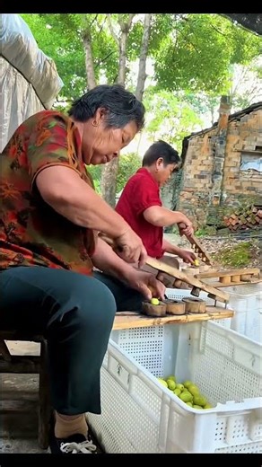 Pressing and shaping process of green jujubes