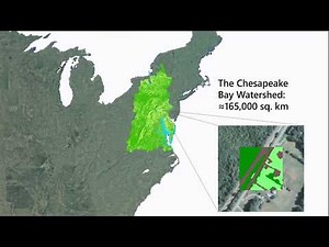 ArcGIS and Microsoft AI: Scalable GeoAI in the Cloud