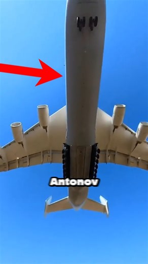 Tge Biggest Plane In The World. #plane #machine #fly