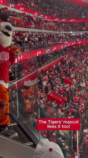 Detroit Red Wings' goal song at Little Caesars Arena! #lgrw #shorts