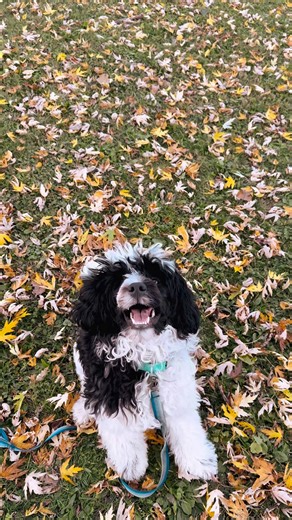 3.4K views · 120 reactions | Get it girl! | Christiana Moss | Facebook