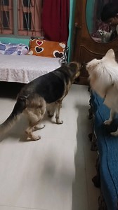 Ghor jokhon khelar math hoy tokhon ei rokm kichhu ekta ghotona ghote go 😂😂😂😂🥰🥰🥰🥰 | Sampa Paul Ghosh