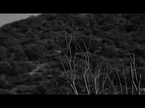 [FREE FOR USE] EXPERIMENTAL TYPE BEAT - "GUNGLE BOUNCE " | HARD TYPE BEAT | Free For use Beats