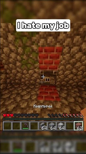 I hate my job in Minecraft 🫩 #memes