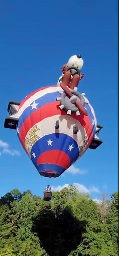 Snoopy hot air balloon! Do your children know who snoopy and the red baron are? Most of the kids here this evening had no idea! Alcovets Jennifer Talley U.S Army #snoopy #redbaron #hotairballoon #hotairballoonfestival hotair | Happy Days Farm