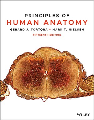 Principles of Human Anatomy, 15th Edition | WileyPLUS