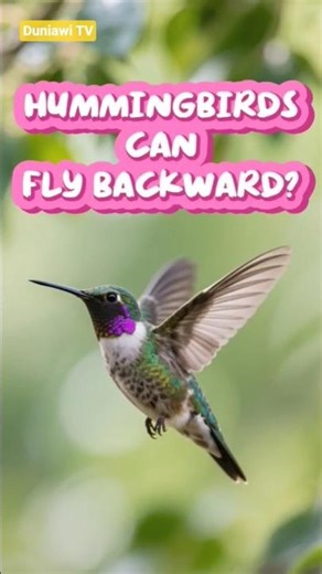 “The ONLY Bird That Flies Backward! 🐦✨#animalfacts #funfacts #shorts
