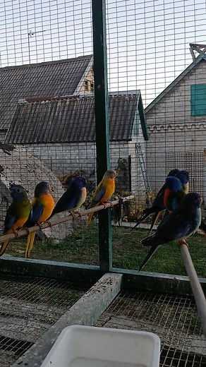 Rainer German on Reels