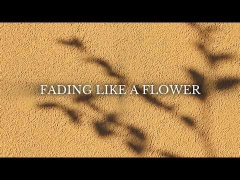 Nora Johansson – Fading Like a Flower | Minimalist Visuals & Piano