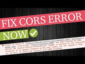 CORS Error & Solutions In A Nutshell [Cross Origin Resource Sharing]