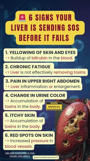 6 Signs Your Liver is Sending SOS 🚨