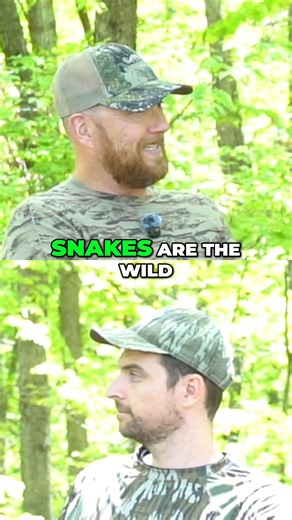 Snakes are the sneaky nest predator that Dr. Bret Collier says are a wild card in nest predation!! | The National Wild Turkey Federation