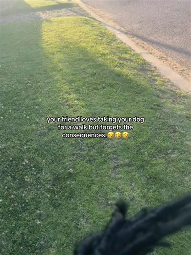 When Your Friend Takes Your Dog for a Walk