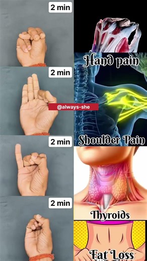 Daily Mudra #hand #pain #shoulder #thyroid #fatloss #shorts #mudra #yoga #trending #ytshorts #love