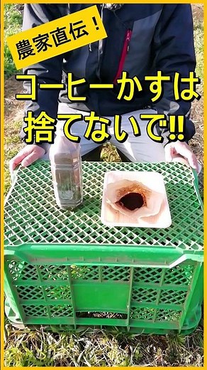 [Coffee grounds] Don't throw them away! Use them effectively as fertilizer [Organic farmers teach...