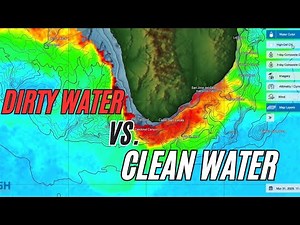 Fishing New Waters: Using SatFish SST & Chloro Maps to Find Offshore Hotspots Anywhere