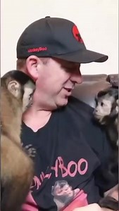 25K views · 1.7K reactions | Monkeys playing together #monkey #playing #cute | MonkeyBoo | Facebook