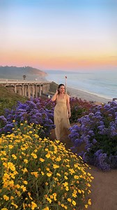 144K views · 241 reactions | San Diego is all in bloom now  This is...