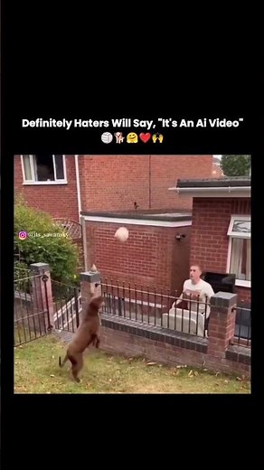 Dog Plays Volleyball with Owner 🏐 | Cutest Sports Duo Ever! 🐶❤️