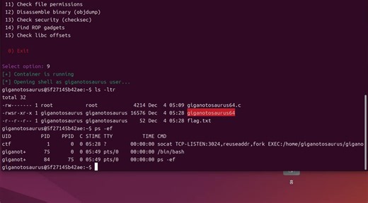 [ 큰놈 어셈블리 이야기 - system hacking 문제 24번 ] : system hacking 1000개 문제는 큰놈 특화된 문제입니다. 다른 분은 이 커리큘럼이 안 맞을 수 있어요 오늘의 도감 : Giganotosaurus64 문제 번호: 24 문제명: Giganotosaurus64 - Predator Hunt 카테고리: Binary Exploitation / Basic ROP ret2libc 난이도: ⭐⭐⭐ (Medium) 포트: 3024 점수: 75점 🦖 문제 설명 기가노토사우루스(Giganotosaurus)는 "거대한 남쪽 도마뱀"이라는 뜻의 이름을 가진 백악기 후기 남미의 최강 육식공룡입니다. 티라노사우루스보다도 더 큰 몸집을 가진 거대한 포식자! 무려 13미터에 달하는 체장과 날카로운 이빨로 무장했습니다. "거대한 포식자처럼, gets()로 버퍼를 삼켜버려라!" 이 문제에서는 ROP(Return-Oriented Programming)와 ret2libc 기법을 사용
